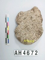 藏品(大砝碼型石網墜)的圖片